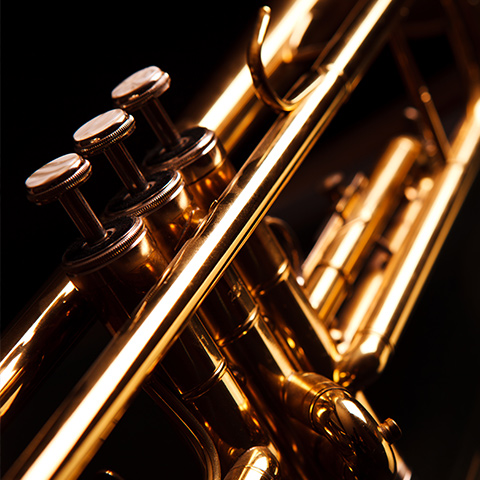 trumpet closeup