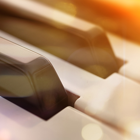 close-up photo of piano keys