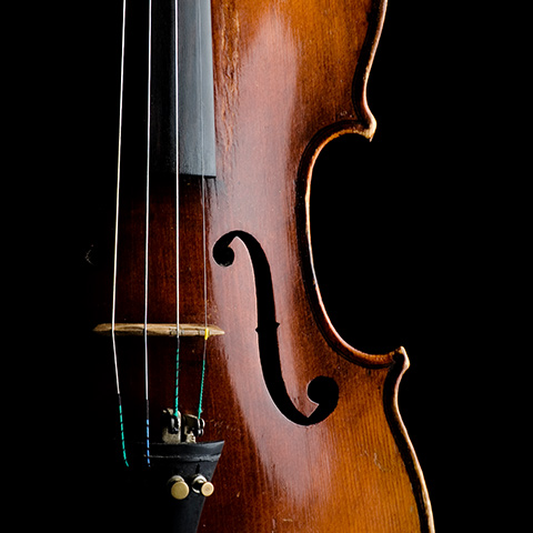 Violin close up with black background