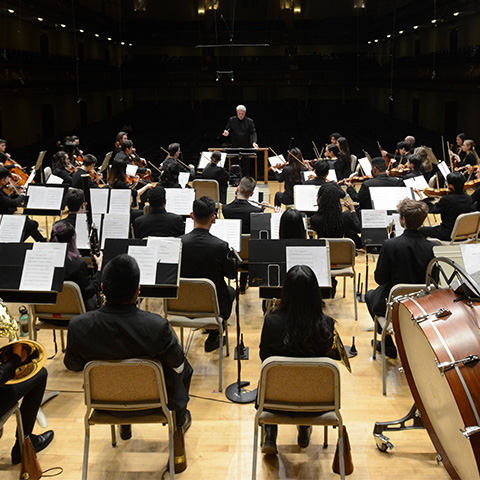 an orchestra plays on a stage