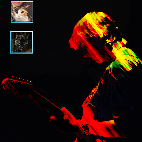 Two small cats in squares and a big image of a silhouette of a person playing the guitar