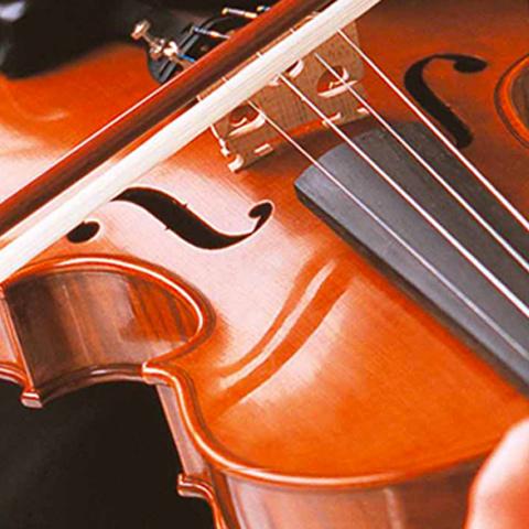 a close up shot of a violin being played