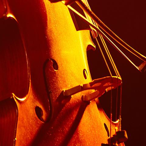 close-up photo of a cello
