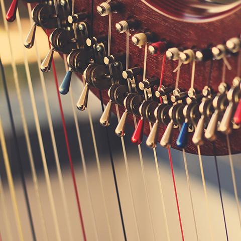 close up of harp strings