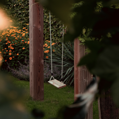 Image of a swing in the woods surrounded by sunlight and flowers