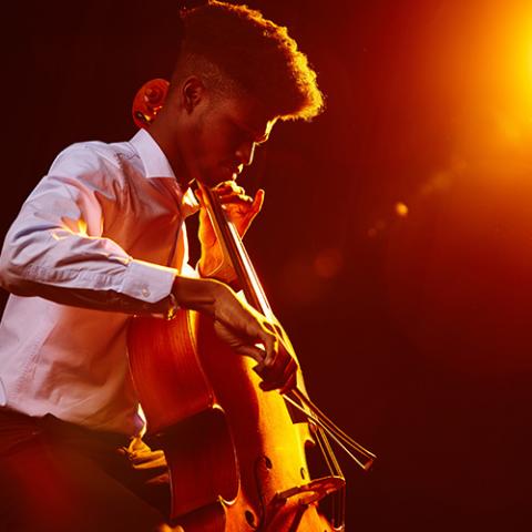 music cello