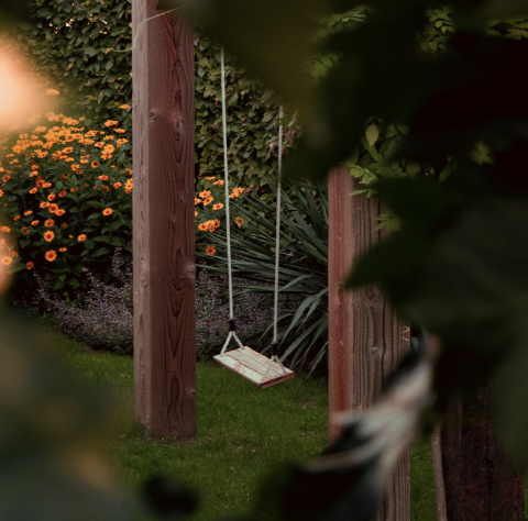 Image of a swing in the woods surrounded by sunlight and flowers